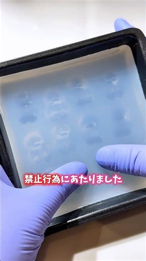 Sorry for the wrong message. It was about the duck mass production mold. #resin #handmade #silico...