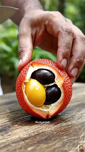 Can You Guess This Exotic Fruit? 😱 Satisfying ASMR Pick & Cut!