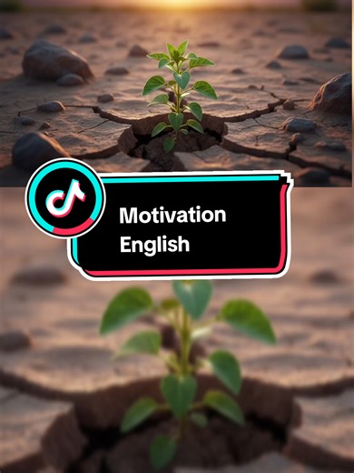 On Success & Hard Work Motivation Sentence Motivation for your English journey 💪✨ One sentence to keep you going Don’t give up 🤍#creatorsearchinsights #motivation #englishlearning #fyp #viralvideo