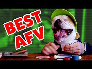 ☺ AFV (NEW!) Stupid Stunts & Funniest Moments of 2016 (Funny Clips Fail Montage)