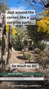 25 reactions | Welcome, students and visitors to Claremont! Where history writes itself amidst the rustling leaves, and where the present dances with the echoes of the past. Peel away the layers of academia and unveil a realm where college campuses hum with excitement and quaint shops whisper tales of modern-day enchantment.* *Why yes, the Discover Claremont team were English majors. How did you know? | Discover Claremont, California | Facebook