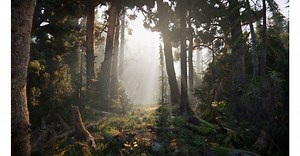 Unity Engine - Neue Demo zeigt die Zukunft der Echtzeit-Grafik