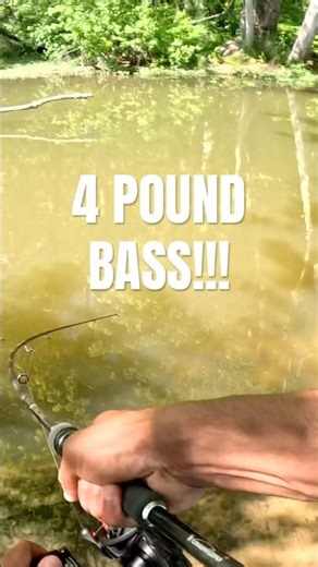 HUGE BASS