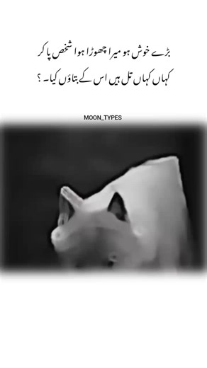 Understanding Different Types of Moons