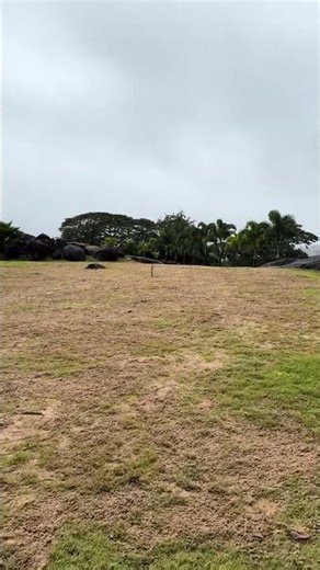 Sand Top-dressing Tips for Lawn Recovery! #SimpleTips...