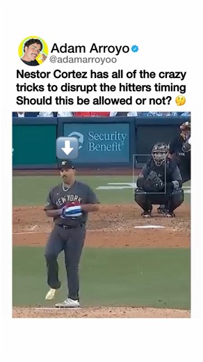 Should This Be Allowed? 🤔 #baseball