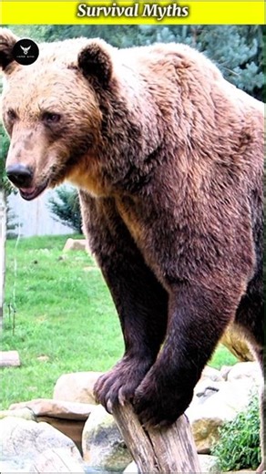 Survival Myths #shorts