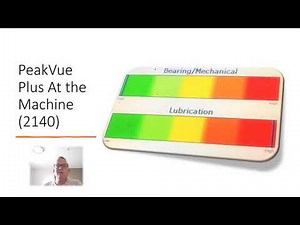 Vibration Analysis - PeakVue - Lubrication Case Study