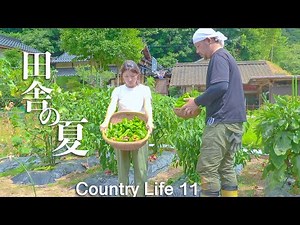 【田舎へ移住】畑で夏野菜を収穫する田舎暮らしの充実した日々 田舎Vlog