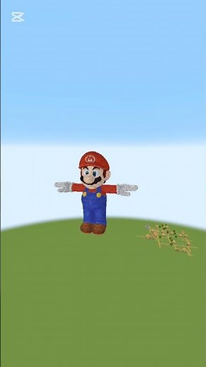Make Mario In Minecraft: Timelapse