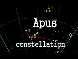 The Apus constellation Information, history : bird-of-paradise,without feet