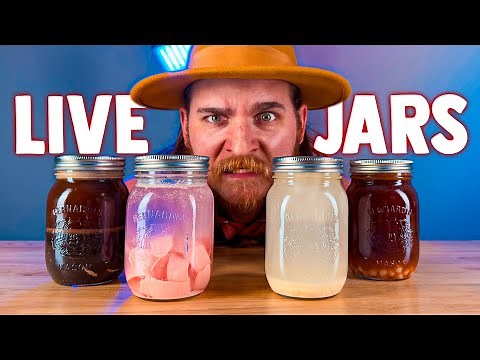 🔴 LIVE - In A Jar | DokaRyan