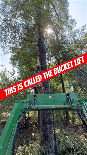Clearing Shooting Lanes | Tractor Bucket + Pole Saw: Deer Prep 🦌