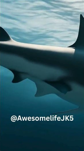 🦈 ASMR: Shark Glides Through a Glass Ocean — Slow Motion, Cracking Sounds & Underwater Calm #Shorts