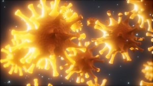 Bacteria virus or germs microorganism cells under microscope with depth