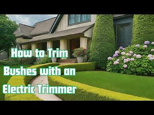 How to Trim Bushes With Hedge Trimmer and Best Time to Trim Bushes