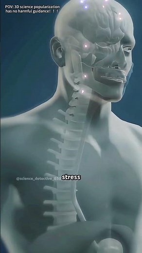 What Happens During a Seizure? (3D Animation)#epilepsy #seizure #neurology #brainhealth #medical3d