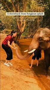 This Elephant's Trunk Moments Are Pure Joy #elephant #animals