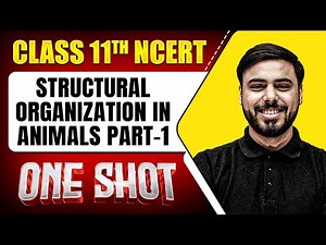 STRUCTURAL ORGANIZATION IN ANIMALS PART-1 in 1 Shot | FULL Chapter (Concepts+PYQs)| Class 11 Zoology