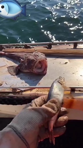 Fishing with an Alien Twist