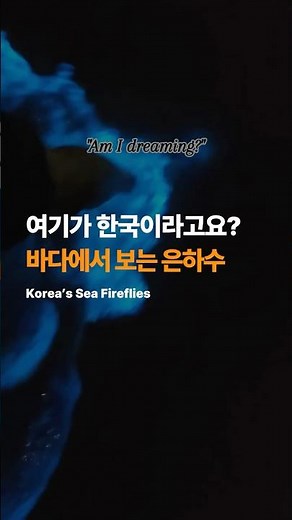 서천 밤바다에서만 볼 수 있는 바다의 은하수, 서천 야광충🌌