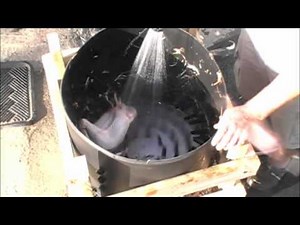 whizbang chicken plucker 9-8-10