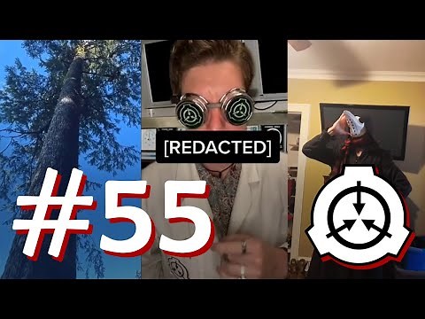 Site-42 SCP TikTok Compilation #55