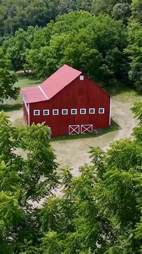 75K views · 646 reactions | Rural Tennessee Take in the simplicity of the Tennessee #forest: home to a variety of ecosystems, big trees, and mountain streams ️ Don't miss the natural beauty of #Tennessee during tonight's #Moonshiners at 8p ET on Discovery | Discovery | Facebook