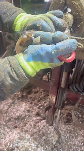 Double sole created by a stone | Steve Wunderlich Hoof Care