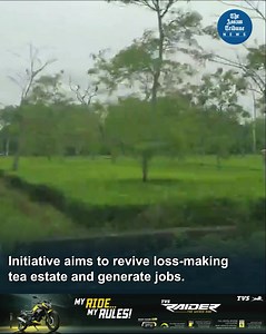 1.1K views · 11 reactions | Drawing inspiration from the success of a...