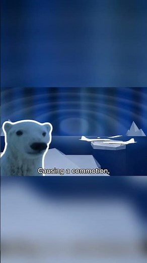 Narwhals, Narwhals, swimming in the ocean, causing a commotion, cuz they are so awesome!