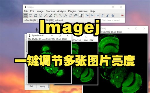 Imagej一键快速调节多张图片亮度