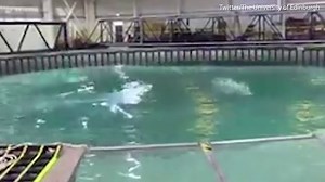 Testing tank can predict killer rogue waves for the first time