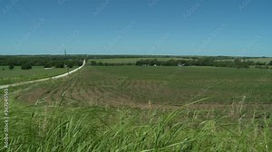 rural landscape in spring, wind blowing in the grass along a field of sprouting crops. Stock Video