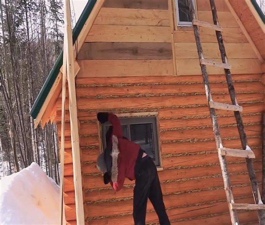 762K views · 9.6K reactions | A Canadian couple is building a tiny log cabin in the forest using handtools to achieve their dream home | Alone with nature | Facebook