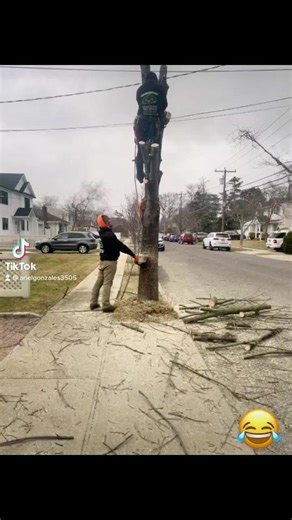 Ariel Gonzalez (@arielgonzales3505)’s videos with sonido original - Ariel Gonzalez