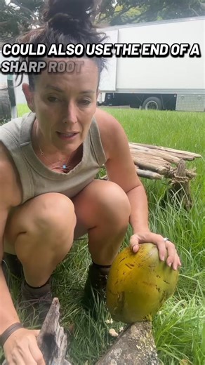My version of drinking on the job 😅. People think that coconuts mean easy hydration but opening them is an art form :). #coconutwater #hydration #survivalscenario #survivingwithKy #survivalconsultant | Ky Furneaux