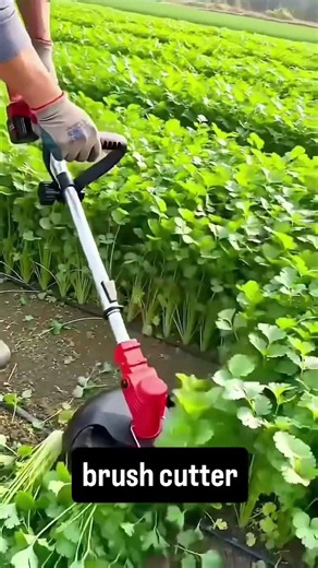The Ultimate Grass Cutting Machine You Need! 🚜 #agriculture #shorts #viral #mowinggrass