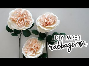 How to make Paper Cabbage Rose DIY crafts
