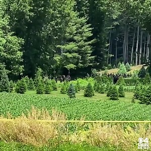 95K views · 2.1K reactions | Sad update: The body of the missing Lowell toddler has been found, sources tell the I-Team https://cbsn.ws/3HyhcXN ------- RIGHT NOW: There is new police activity at a Christmas tree farm in Lowell, where the search continues for a missing 3-year-old boy | WBZ / CBS News Boston | Facebook