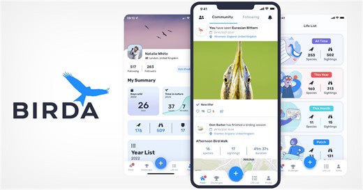Birda App Can Help Photographers Find and Identify Bird Species