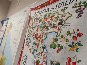 Meet the Teacher: Charlene Mastro of Radnor High