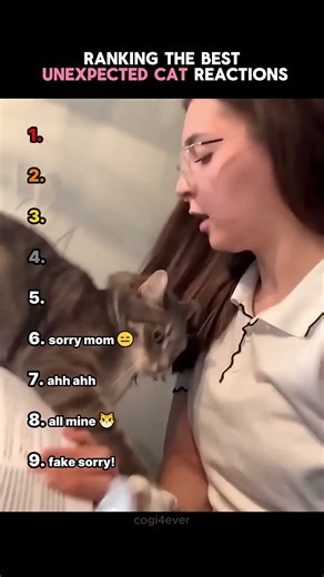 Unexpected Cat Reactions #cat #funnycats #fyp #shorts #new #funny #subscribe