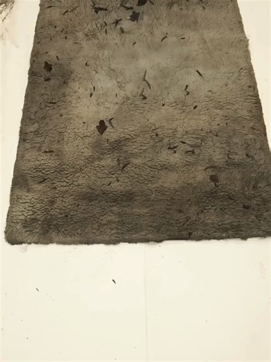 Deep Cleaning a Dirt-Covered Rug