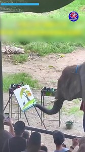 This elephant can definitely paint better than I do | Outfit Anatomy