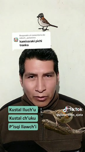 Jilata ELIAS AJATA on TikTok