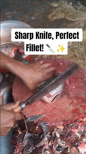 Satisfying Tilapia Fillet Skills | Fresh Fish Cutting for Seafood Lovers 🇺🇸🐟