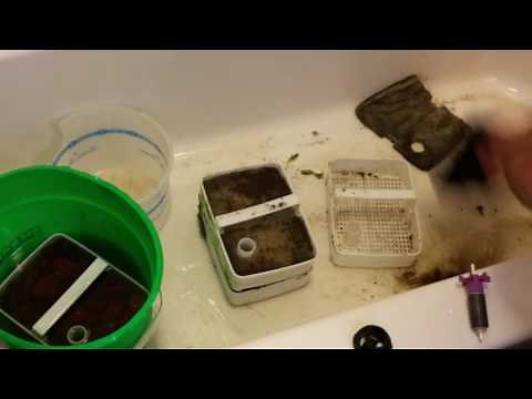 How I clean my diy Penn-Plax Cascade 1200 Canister Filter 6-28-16