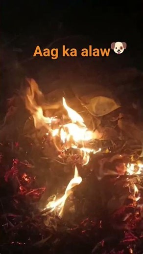 Aag ka alaw#thand#youtubeshorts#pet#cuteanimal#🐶#trending#youtubevideo