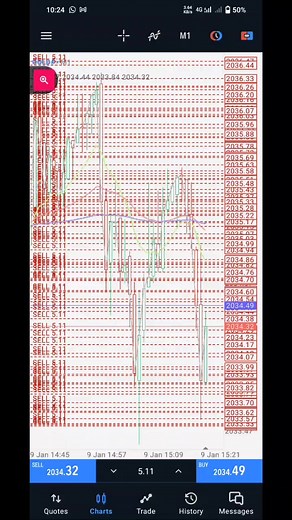 Golden Shark in Malaysian Waters | Jerung.EMAS.MALAYSIA